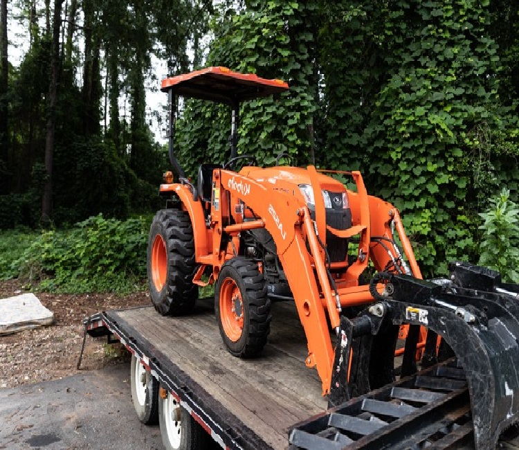 Stump Grinding and Stump Removal Services